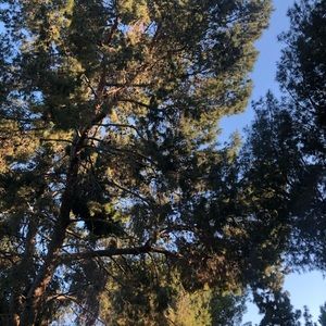 Meet your Posher, Bianca